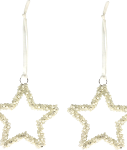 1557 PEARLHANGERS STAR S/6
